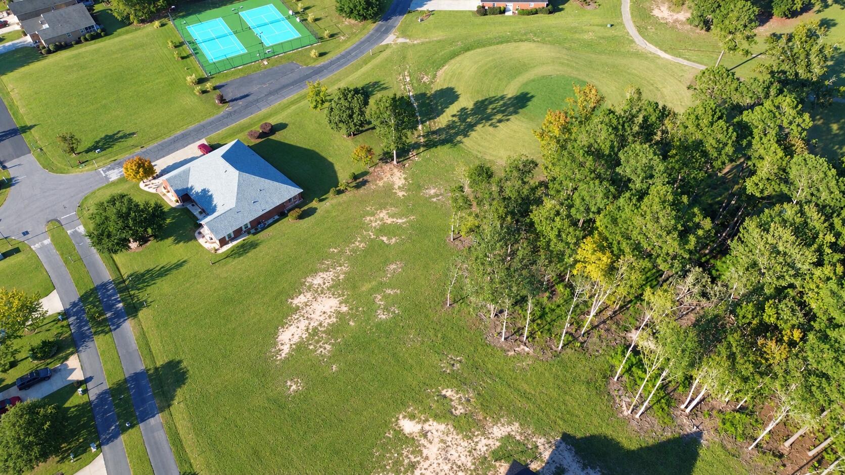 92 Ridge Lake Drive Manning, SC 29102 - Photo 2 of 30 AERIAL