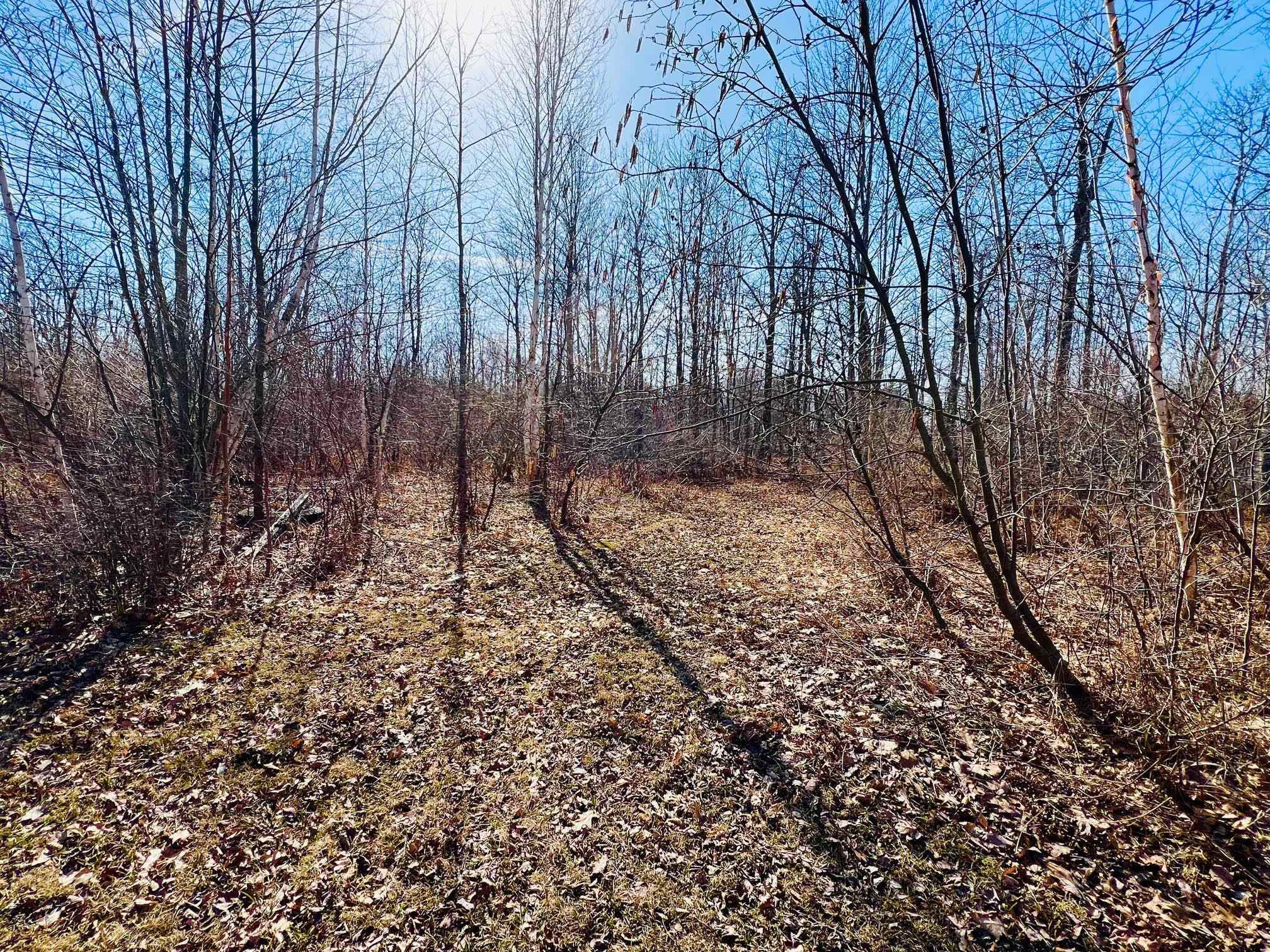 0 School Road Rhodes, MI 48652 - Photo 5 of 9
