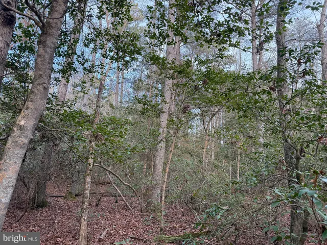 $135,000 | 19285 Vanderhoof Lane, Valley Lee, MD 20692