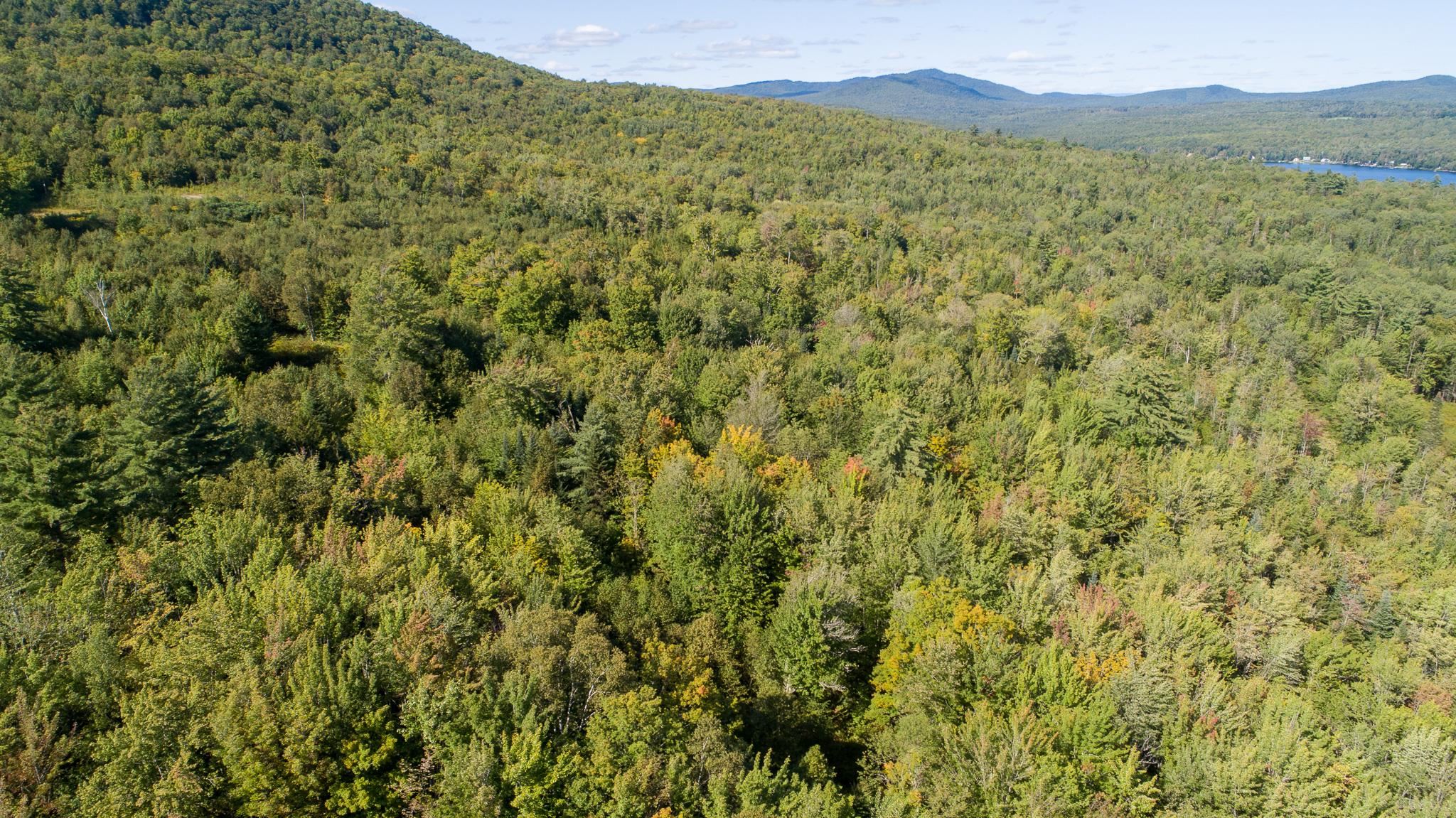 Lot 92 Kimball Road Lunenburg, VT 05906 - Photo 15 of 22