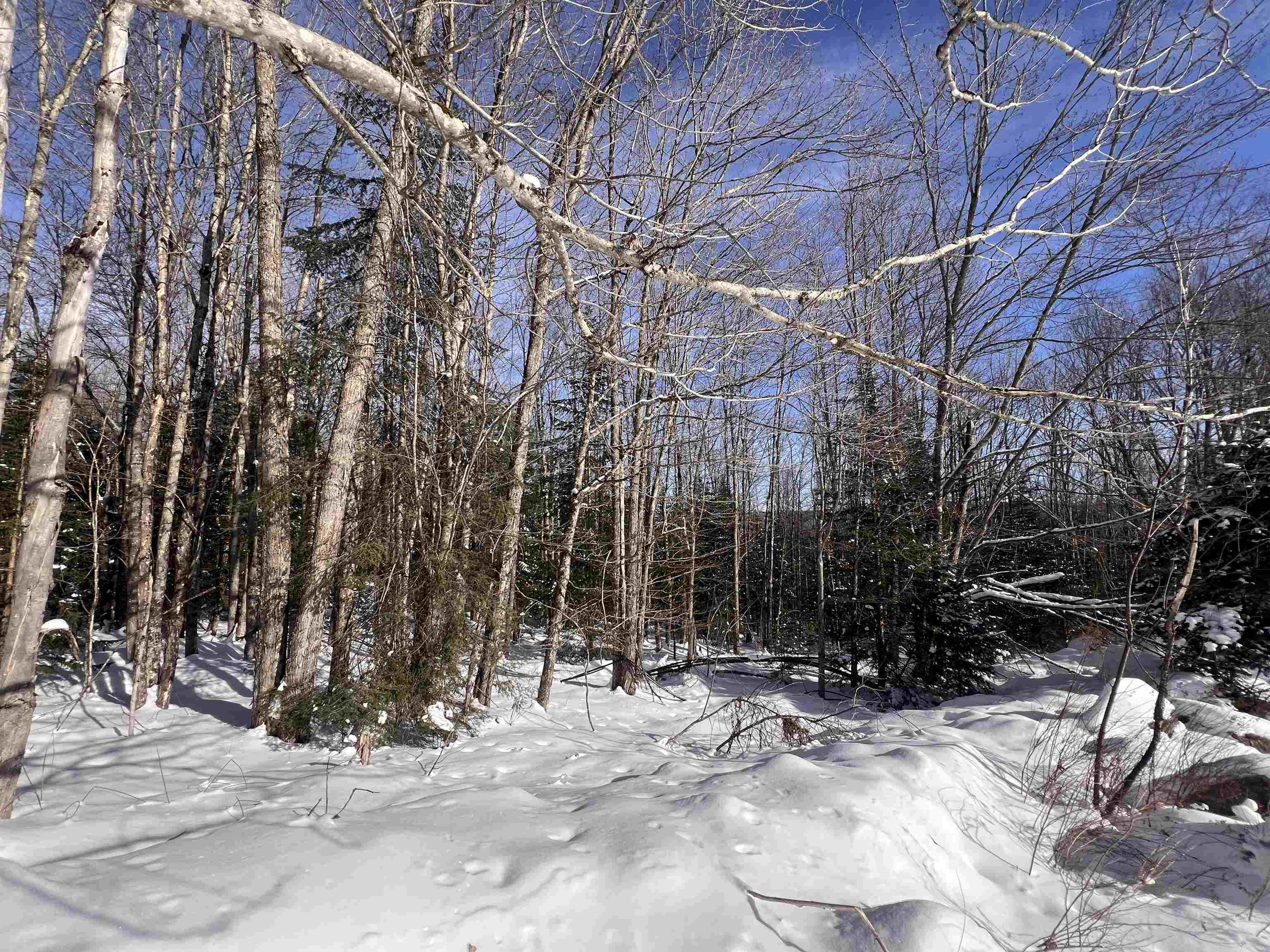 Lot 92 Kimball Road Lunenburg, VT 05906 - Photo 19 of 22