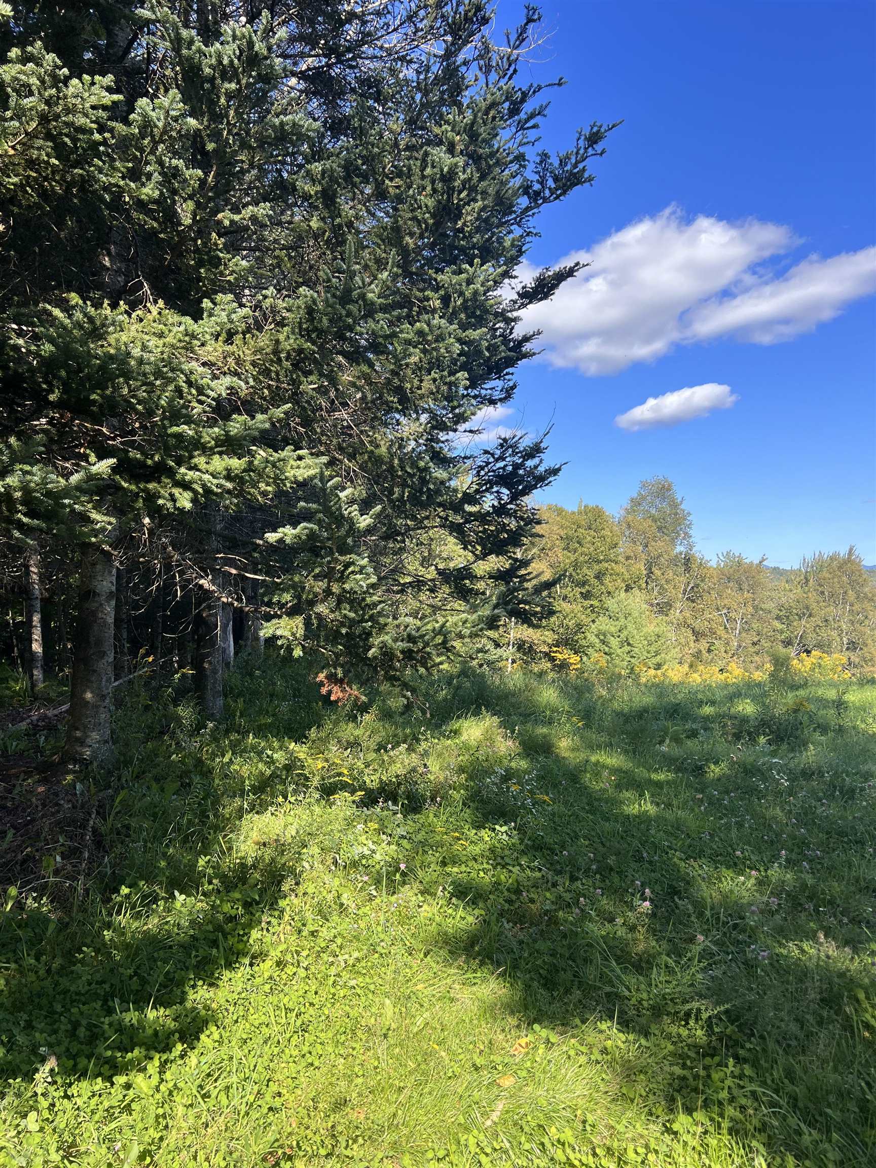 Lot 92 Kimball Road Lunenburg, VT 05906 - Photo 7 of 22