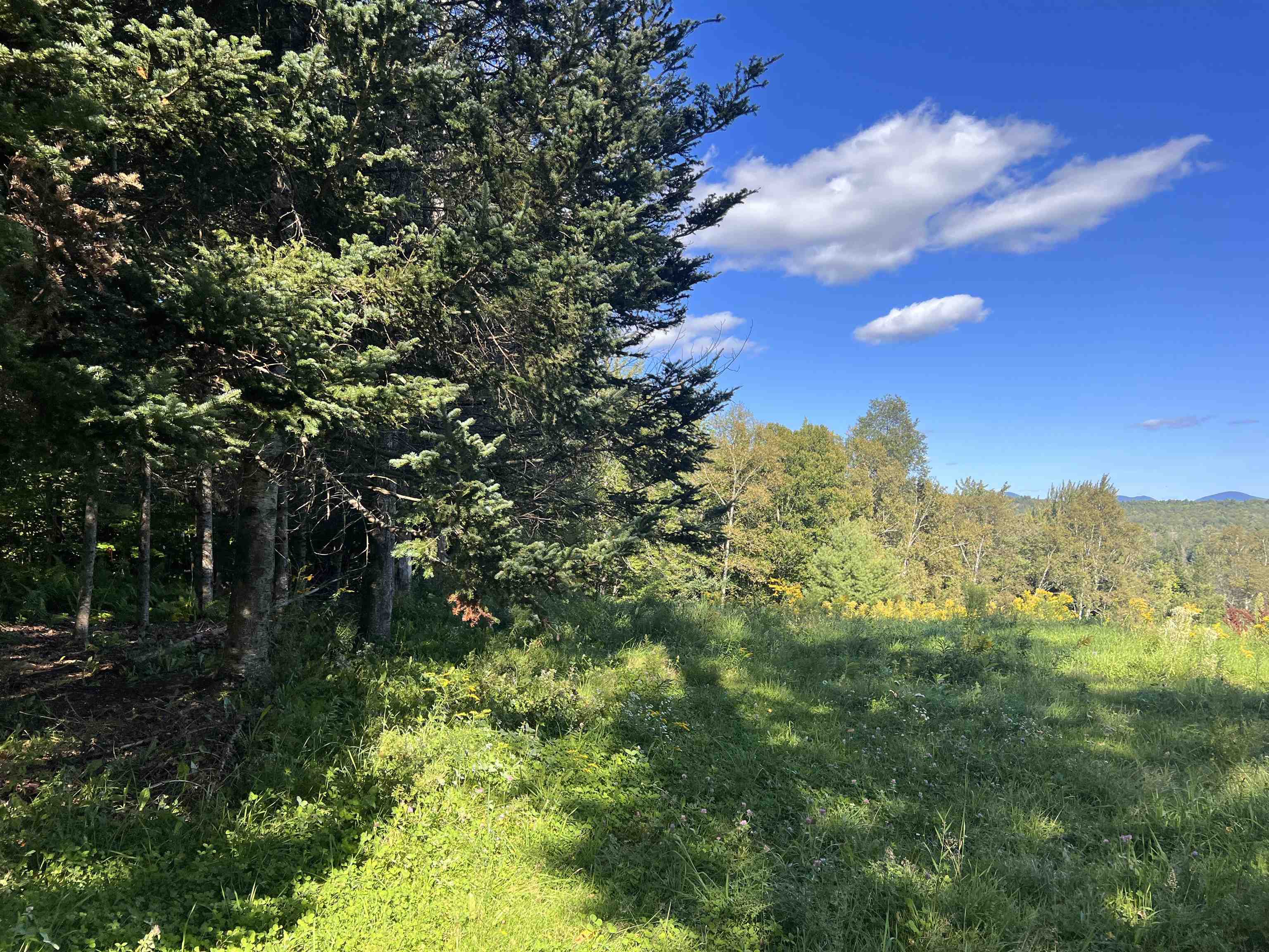 Lot 92 Kimball Road Lunenburg, VT 05906 - Photo 9 of 22