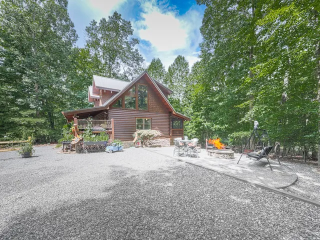 a view of a park with plants and large trees
