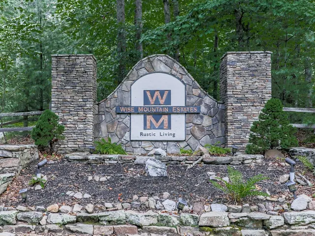 a road view with large trees