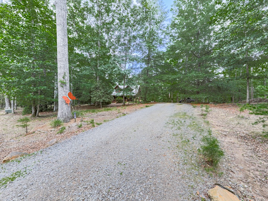 34 Amber Way Morganton, GA 30560 - Photo 38 of 39 a road view with large trees