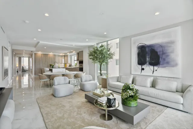 a living room with furniture and a potted plant