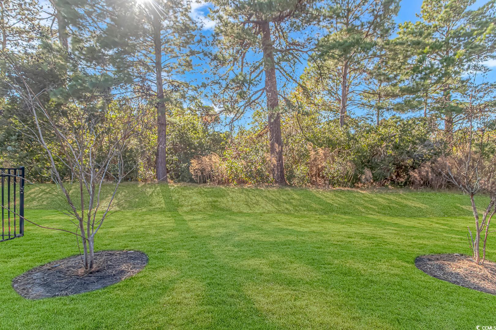 4348 Livorn Loop, Unit 4348 Myrtle Beach, SC 29579 - Photo 26 of 38 View of yard