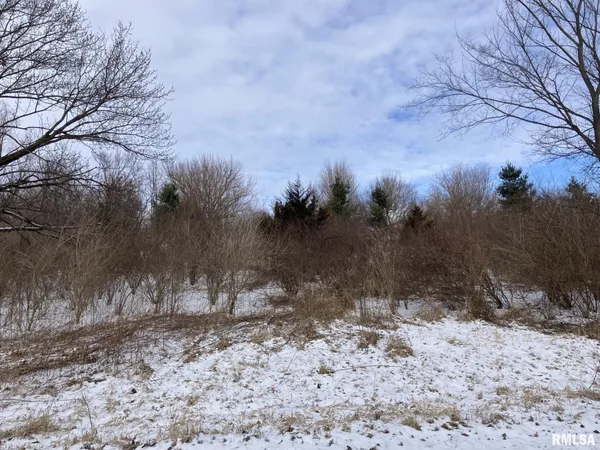 $5,900 | Lot 10 Fair Acres Drive, Monmouth, IL 61462