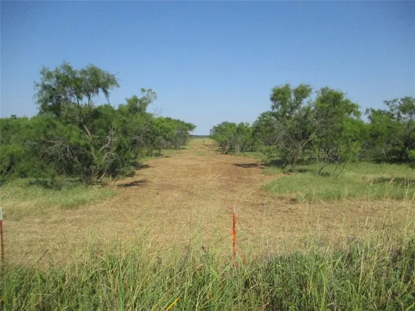 a view of a field of grass and trees