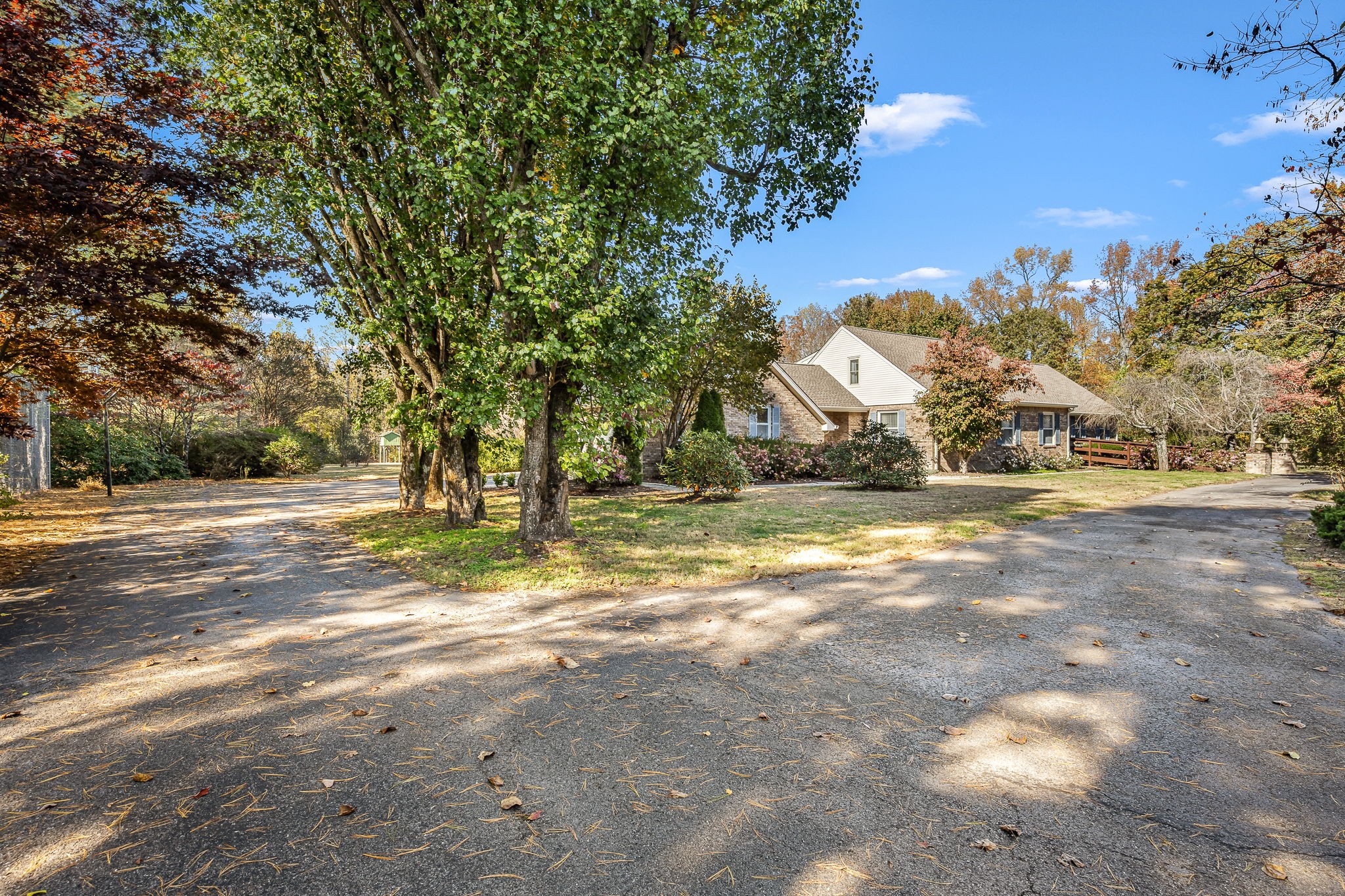 140 Motlow Road Tullahoma, TN 37388 - Photo 6 of 69 a view of dirt yard with a large tree