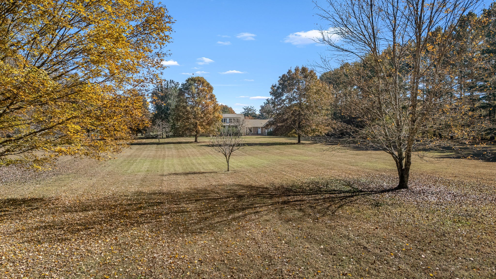 140 Motlow Road Tullahoma, TN 37388 - Photo 61 of 69 a view of a yard with a tree