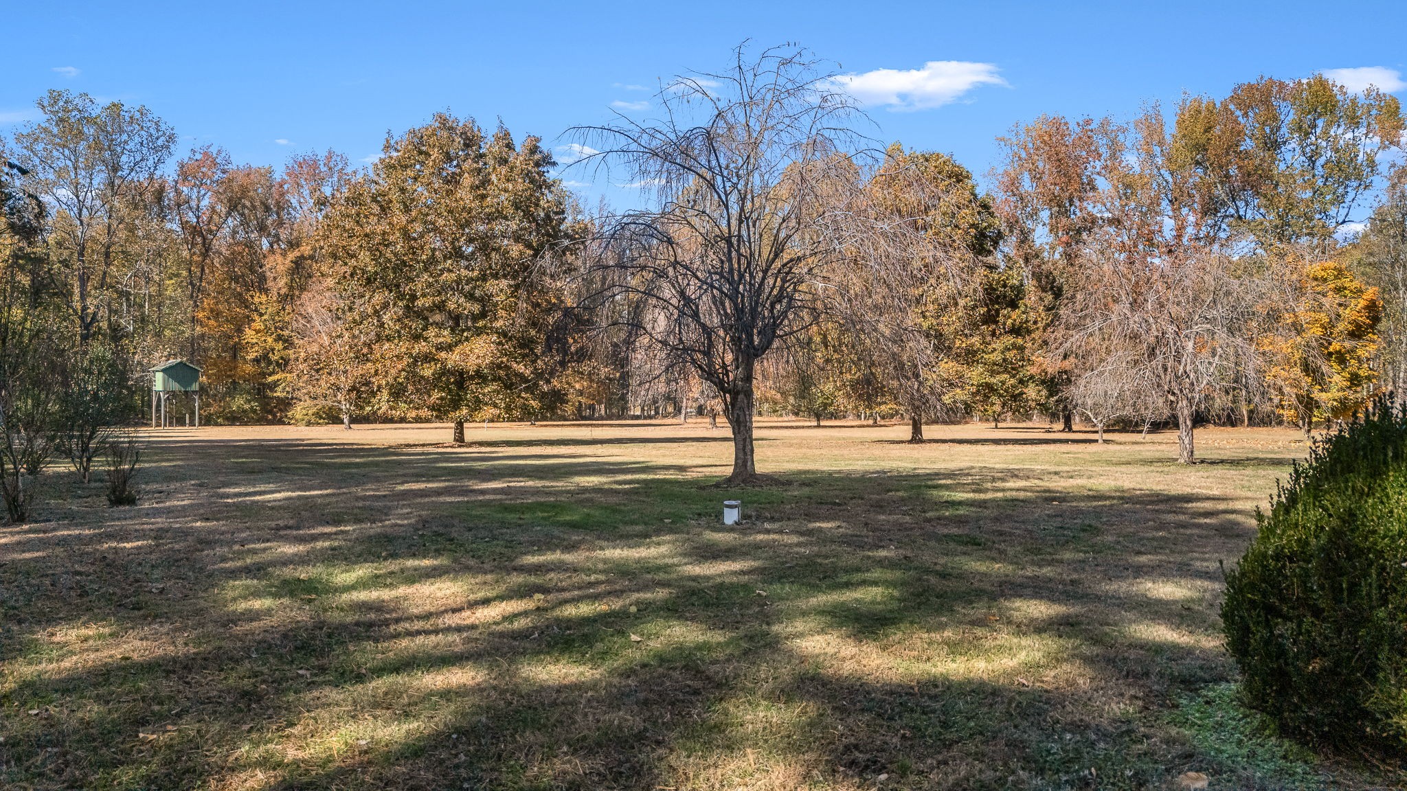 140 Motlow Road Tullahoma, TN 37388 - Photo 62 of 69