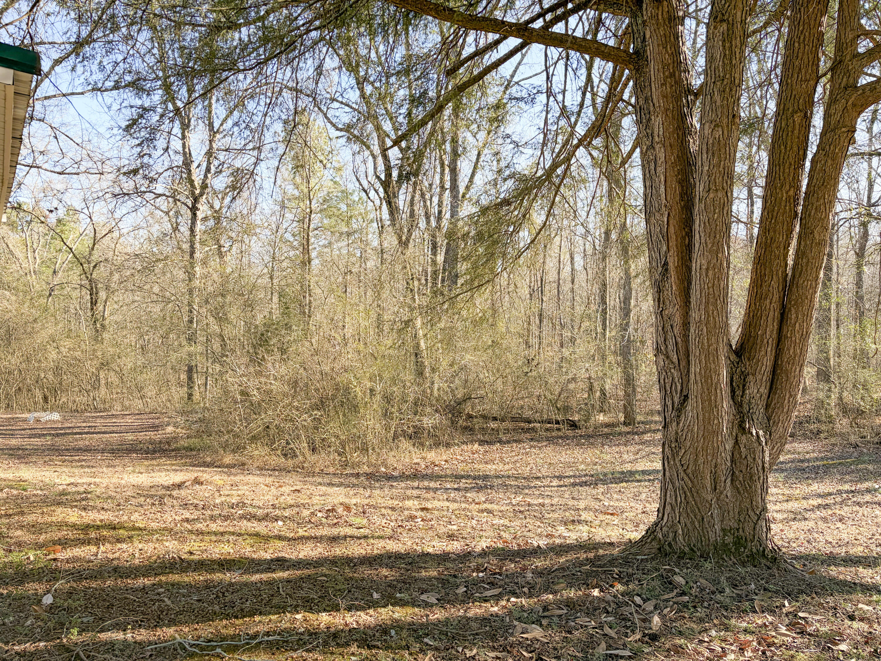 377 Pine Hill Road McDonald, TN 37353 - Photo 12 of 15 IMG_4381