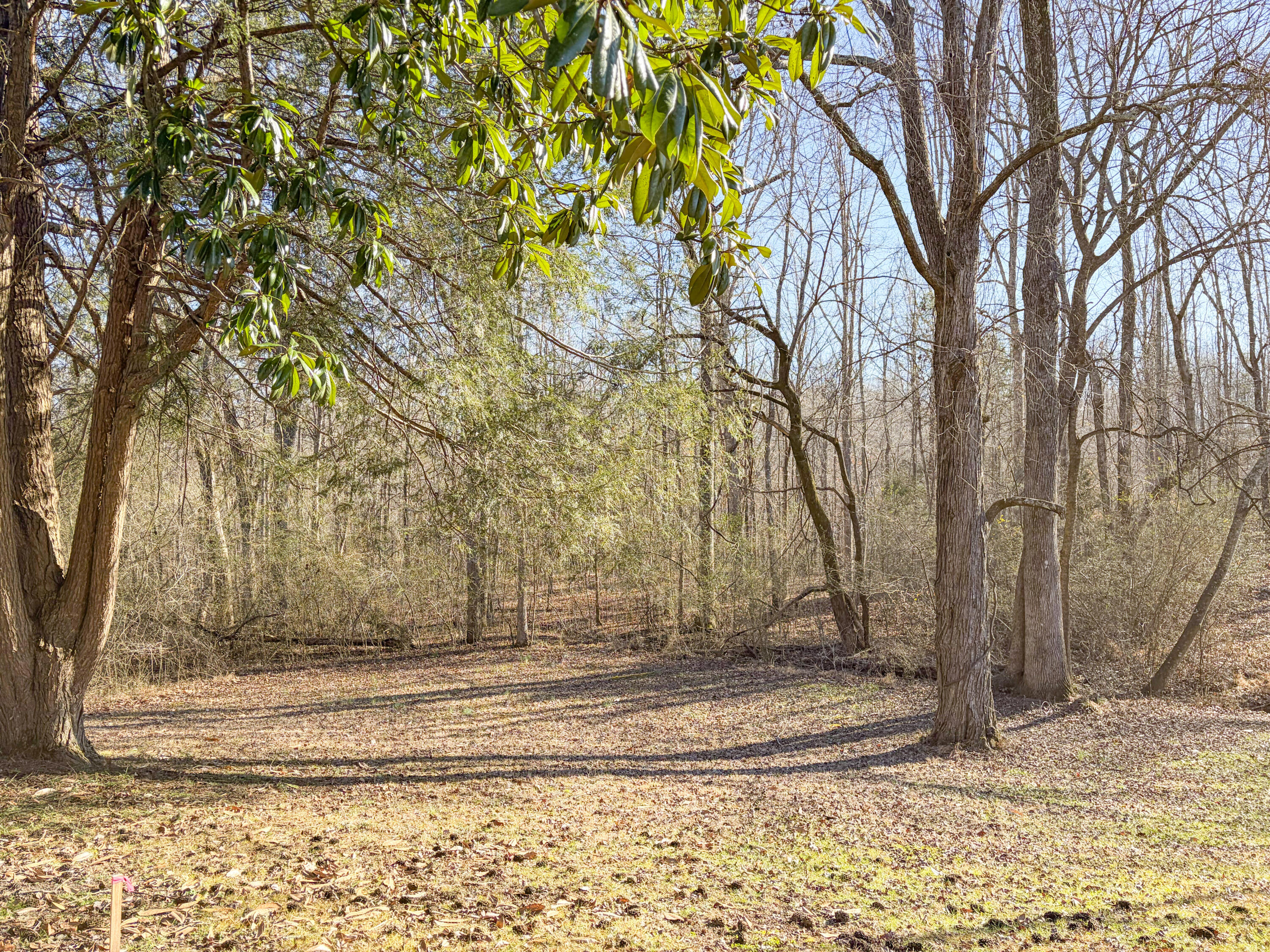 377 Pine Hill Road McDonald, TN 37353 - Photo 13 of 15 IMG_4382