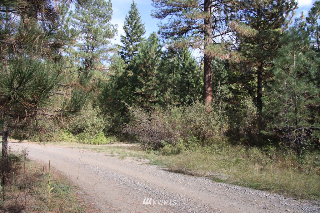 2 Methow Ranch Road Winthrop, WA 98862 - Photo 1 of 25 Gallery Image 1
