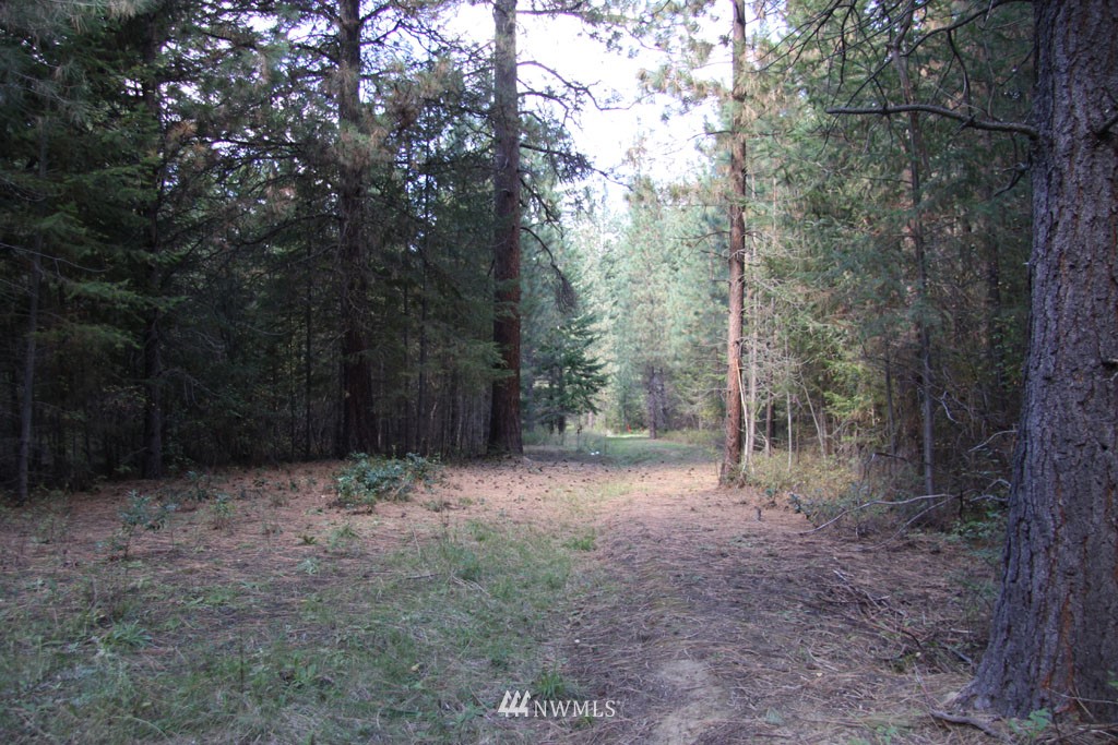 2 Methow Ranch Road Winthrop, WA 98862 - Photo 2 of 25 Gallery Image 2