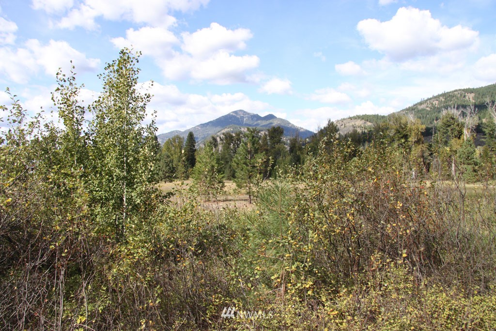 2 Methow Ranch Road Winthrop, WA 98862 - Photo 13 of 25 Gallery Image 13