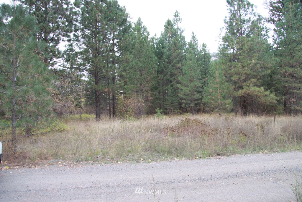 2 Methow Ranch Road Winthrop, WA 98862 - Photo 14 of 25 Gallery Image 14