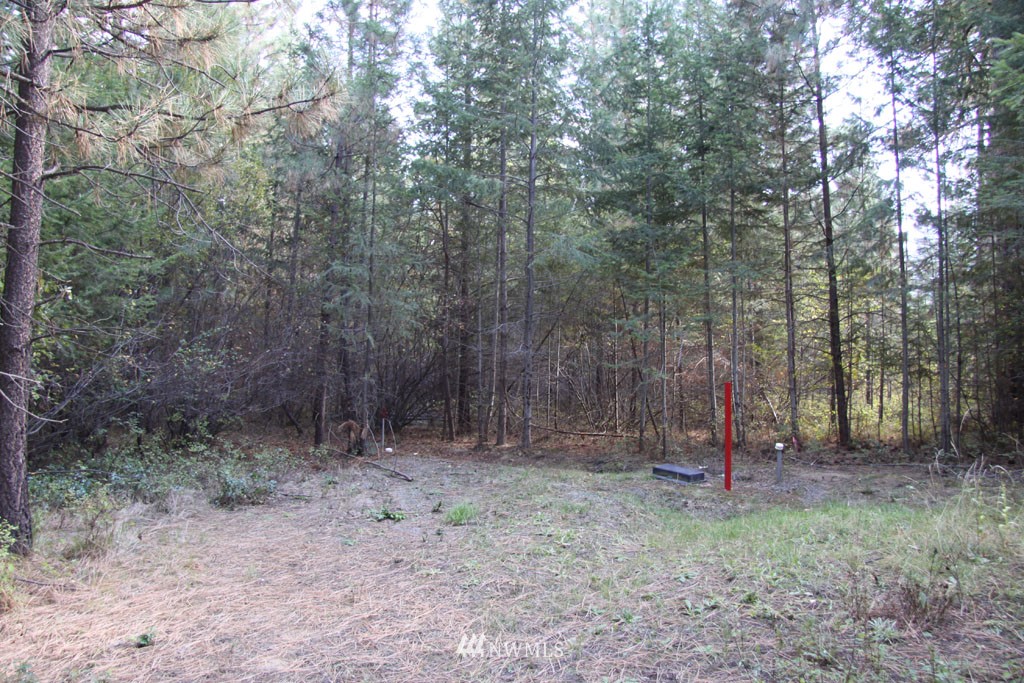 2 Methow Ranch Road Winthrop, WA 98862 - Photo 3 of 25 Gallery Image 3