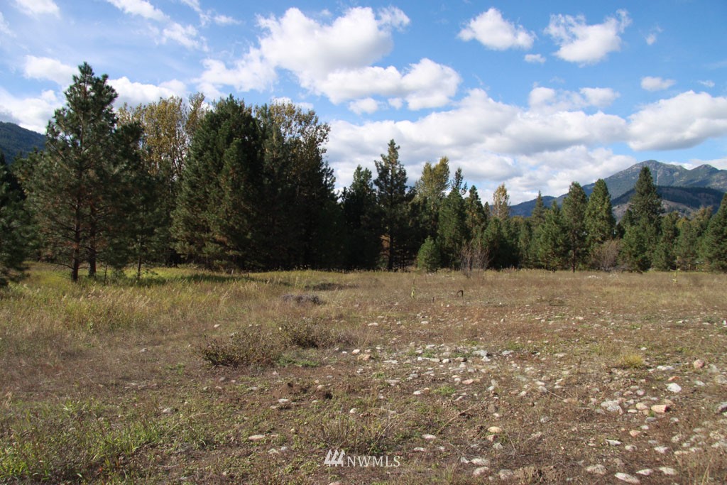 2 Methow Ranch Road Winthrop, WA 98862 - Photo 6 of 25 Gallery Image 6