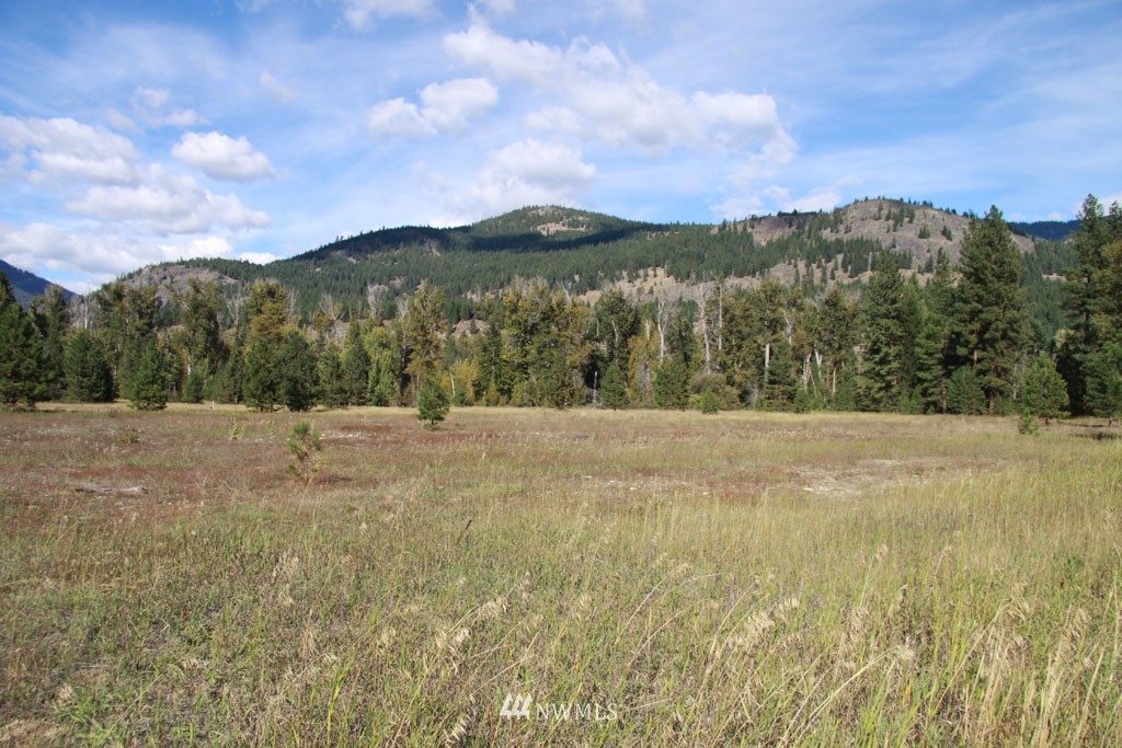 2 Methow Ranch Road Winthrop, WA 98862 - Photo 8 of 25 Gallery Image 8