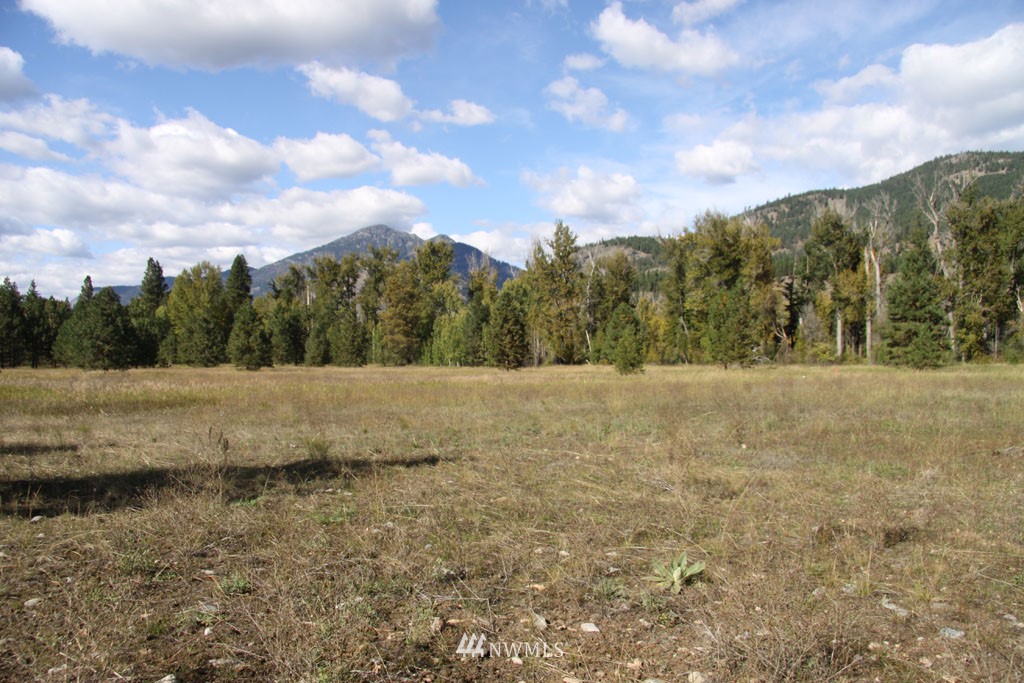 2 Methow Ranch Road Winthrop, WA 98862 - Photo 9 of 25 Gallery Image 9