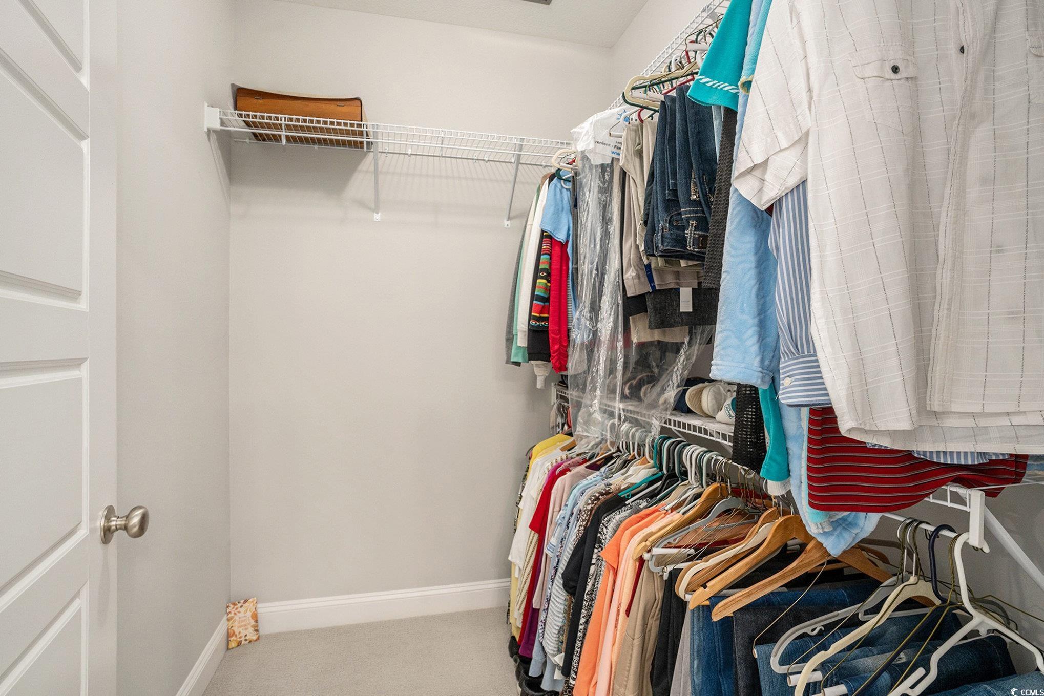 932 Jackline Place, Unit 101 Murrells Inlet, SC 29576 - Photo 21 of 40 Walk in closet with carpet floors