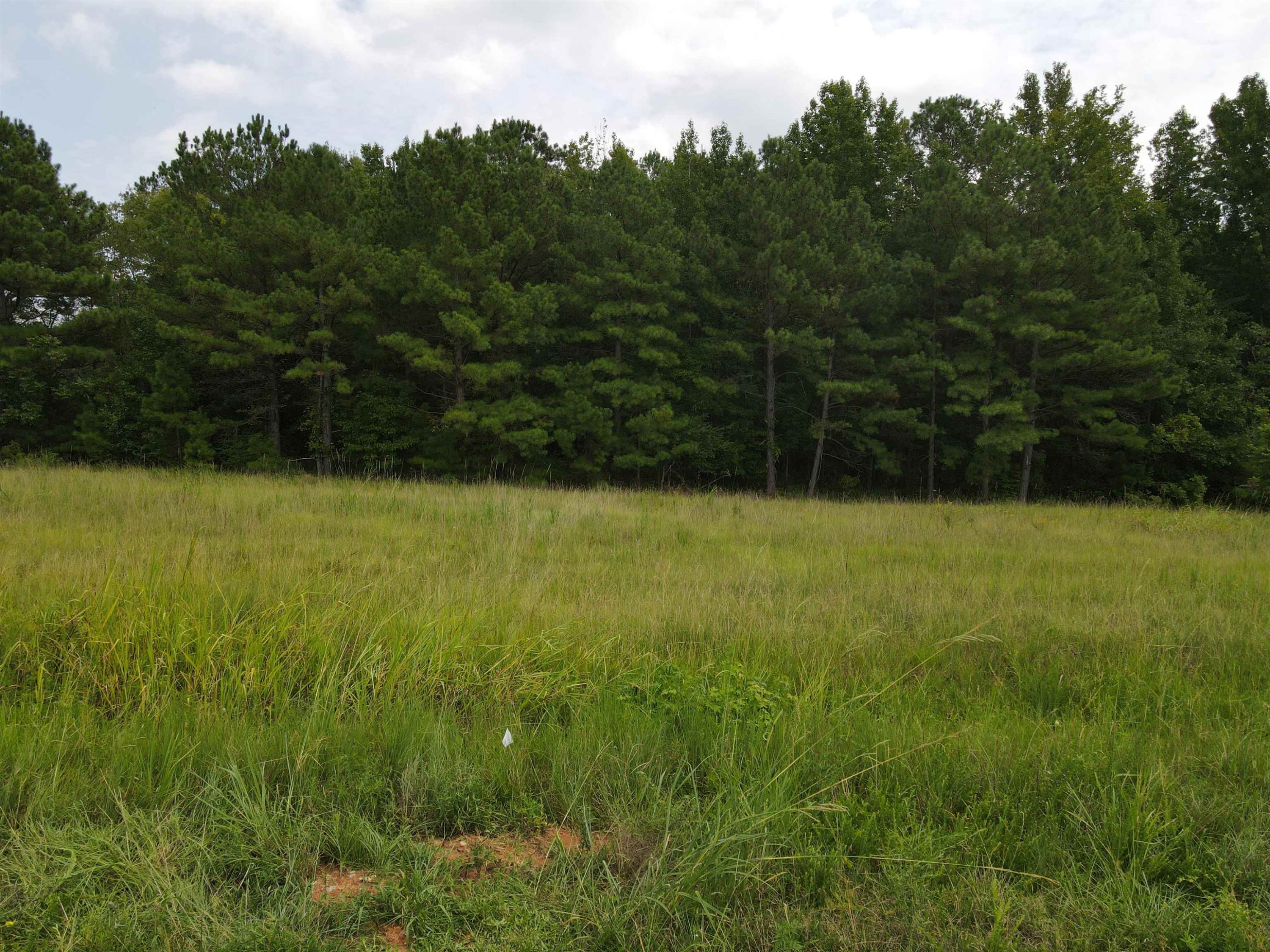 117 Walt Drive Middlesex, NC 27557 - Photo 1 of 12 Photo 1