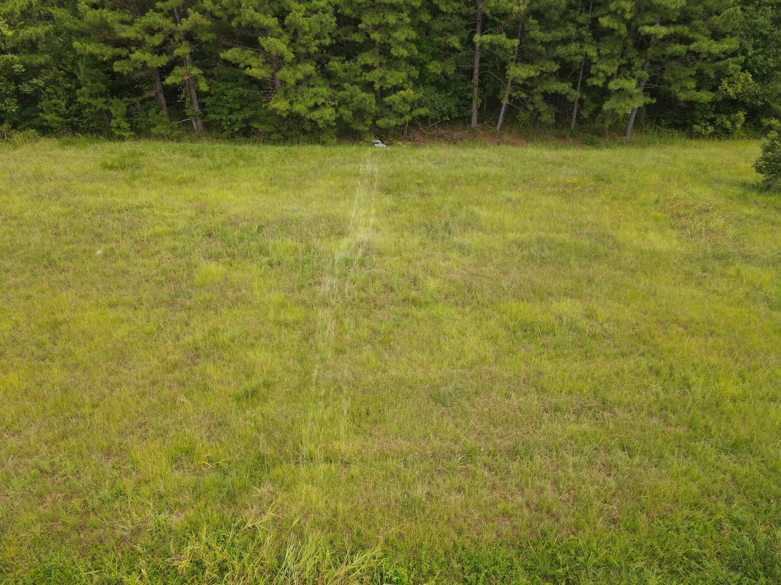 117 Walt Drive Middlesex, NC 27557 - Photo 3 of 12 Photo 3