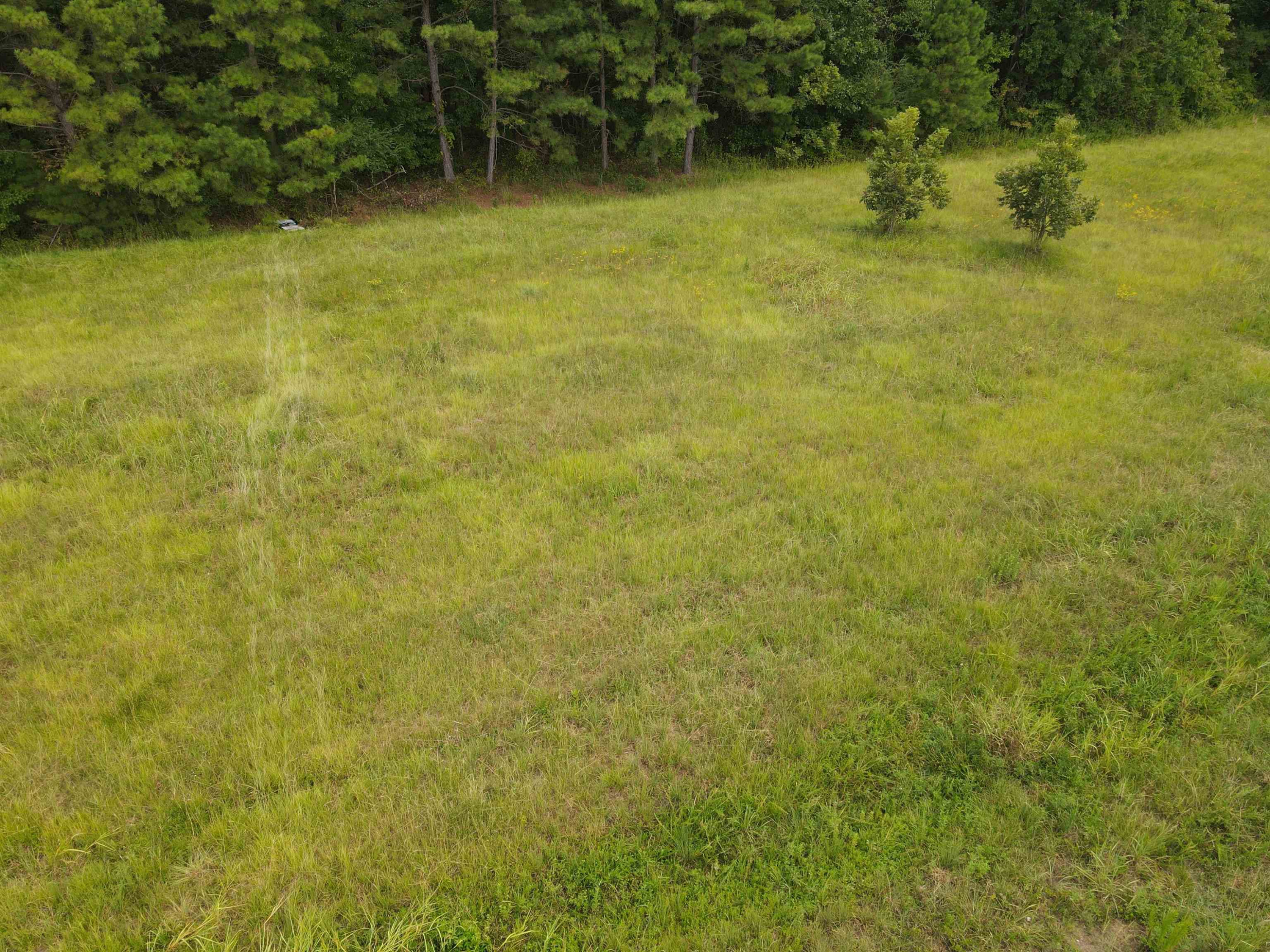 117 Walt Drive Middlesex, NC 27557 - Photo 4 of 12 Photo 4