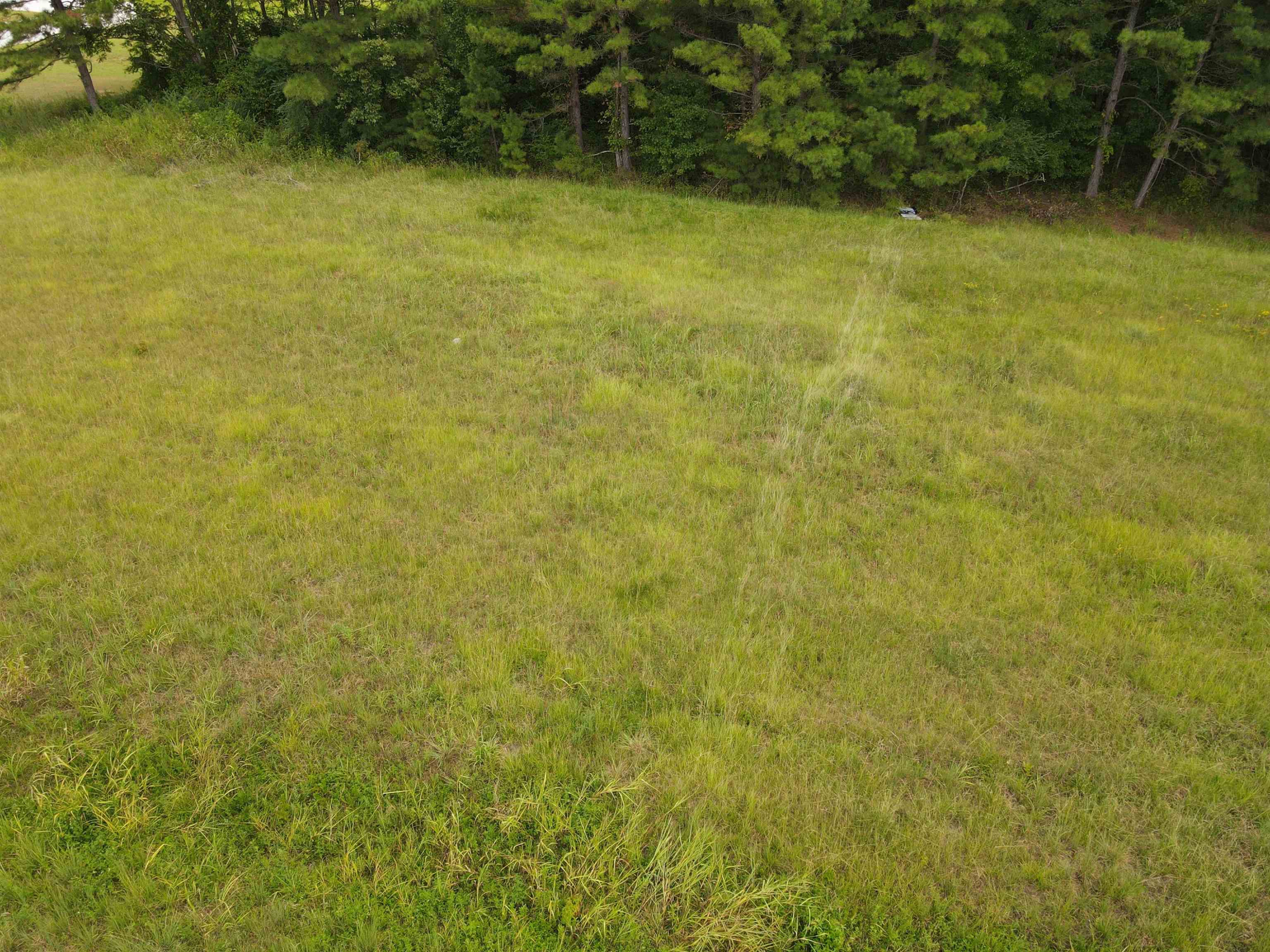 117 Walt Drive Middlesex, NC 27557 - Photo 5 of 12 Photo 5