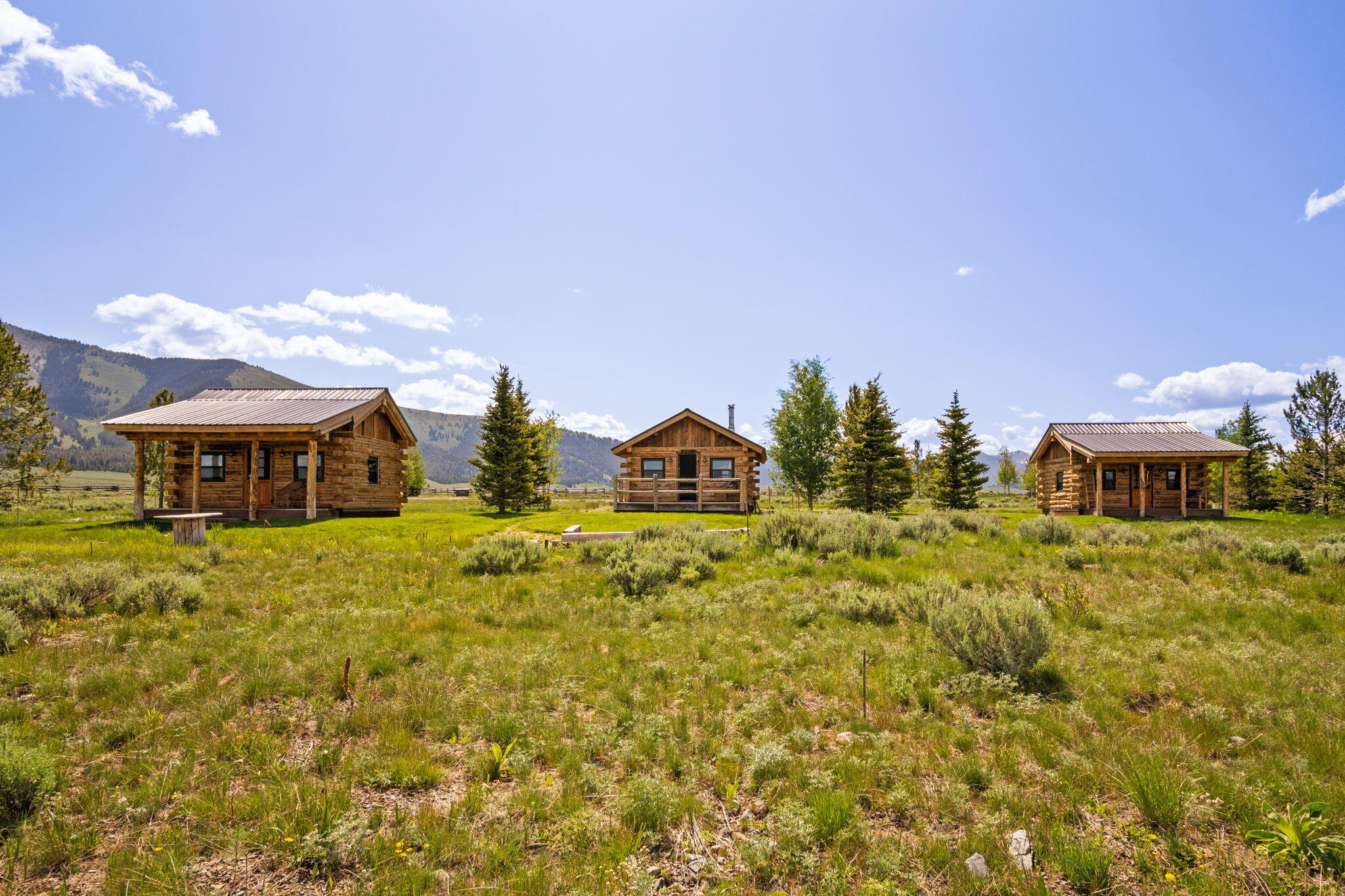 16825 Highway 75 Stanley, ID 83278 - Photo 25 of 52 3 guest cabins