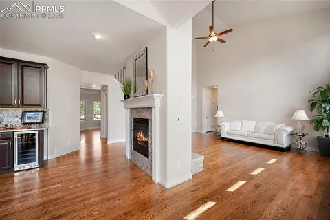 a view of living room with furniture and a fireplace