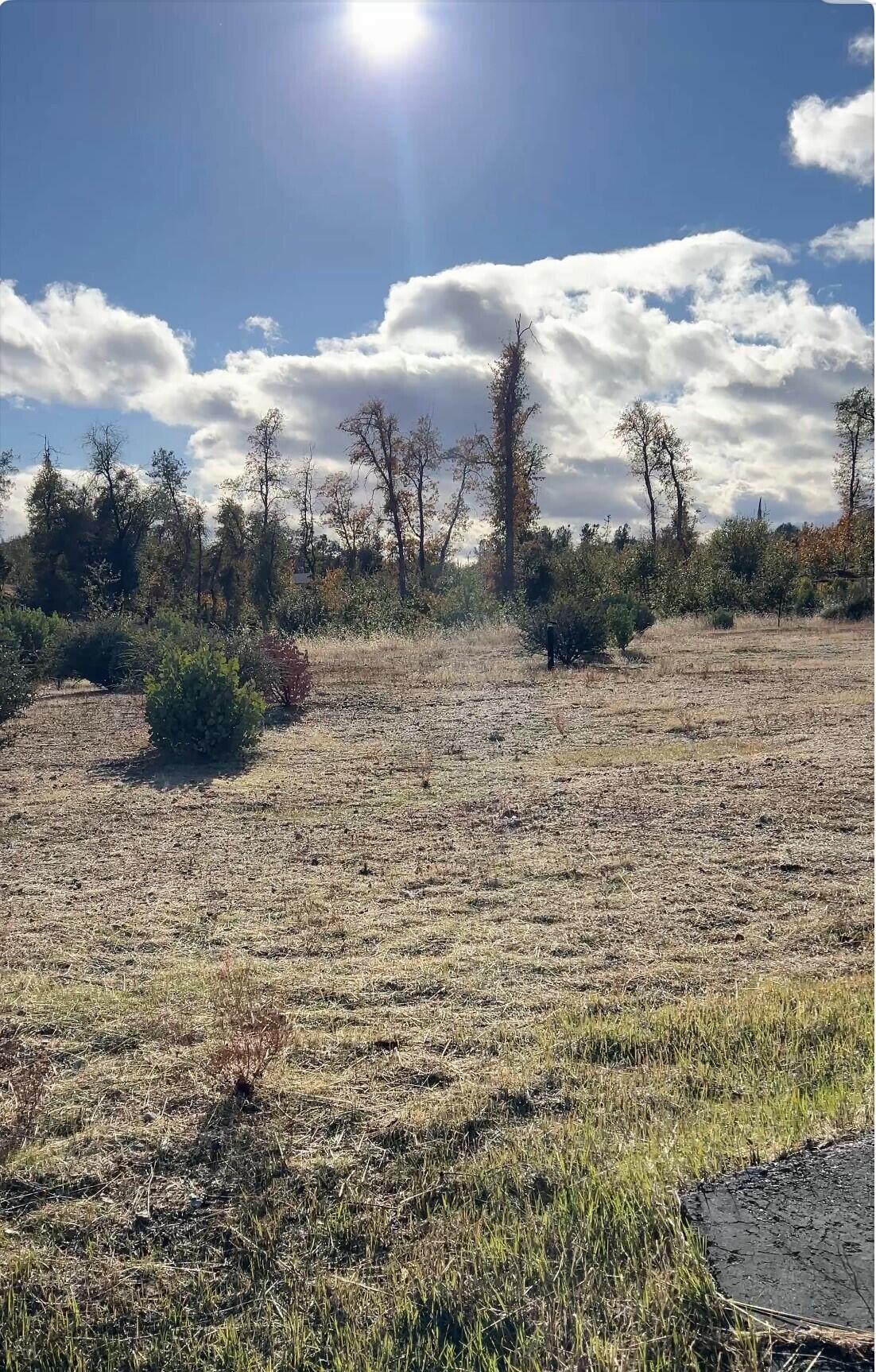 9983 Tilton Mine Road Redding, CA 96001 - Photo 1 of 3 1