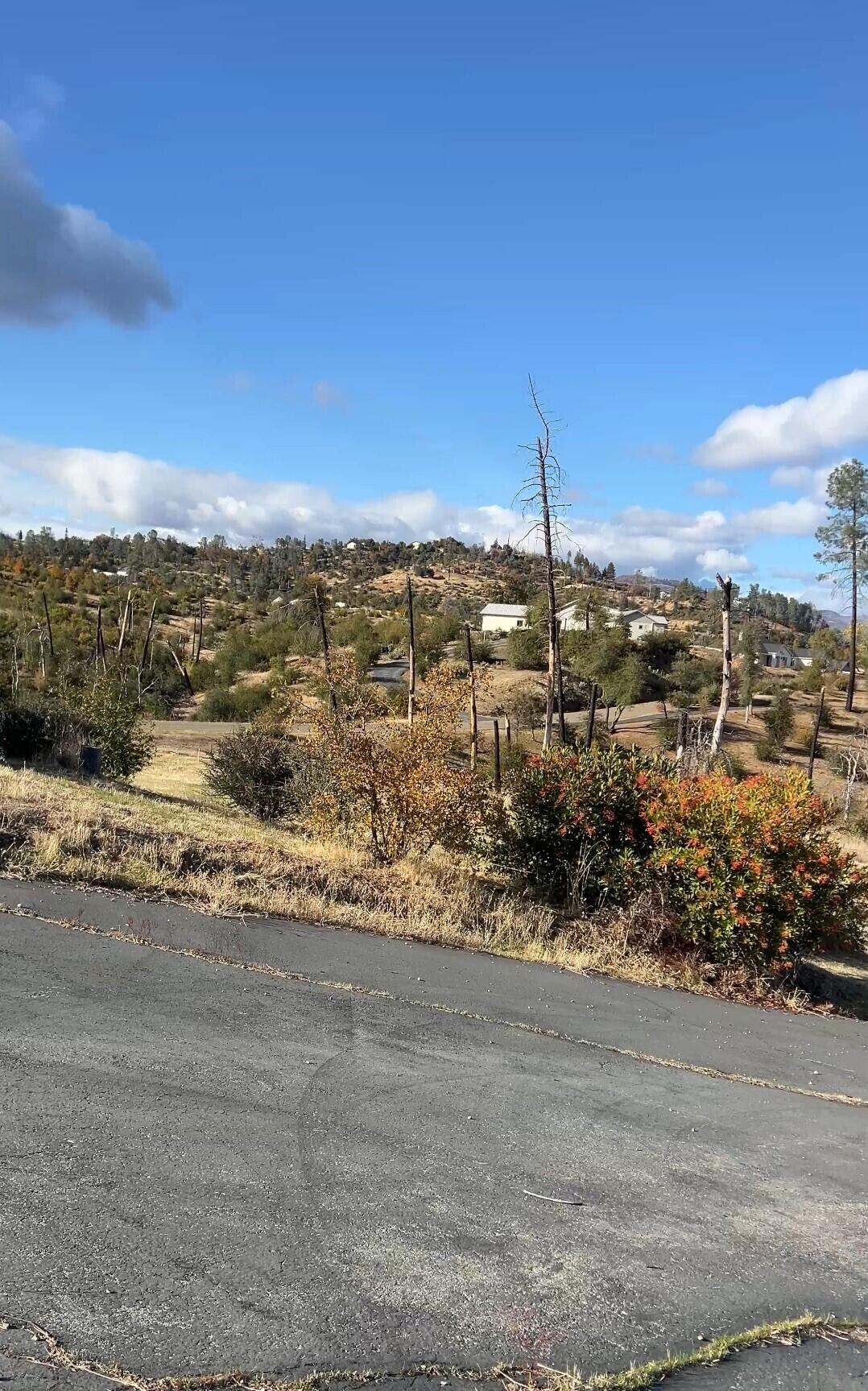 9983 Tilton Mine Road Redding, CA 96001 - Photo 3 of 3 3
