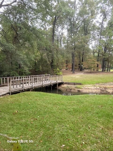 700 Hidden Lake Drive Powderly, TX 75473 - Photo 24 of 32 a view of a park with large trees