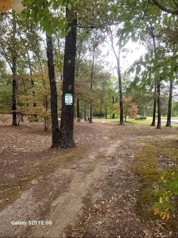 a view of a green field