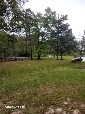 a view of a field with grass and trees