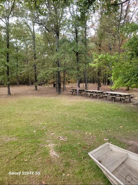 700 Hidden Lake Drive Powderly, TX 75473 - Photo 27 of 32 a view of a field with grass and trees