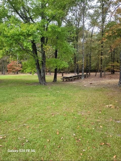 700 Hidden Lake Drive Powderly, TX 75473 - Photo 29 of 32 a view of a swimming pool and trees in the background