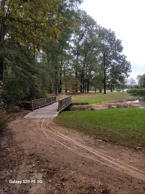 700 Hidden Lake Drive Powderly, TX 75473 - Photo 31 of 32 a view of a yard with large trees
