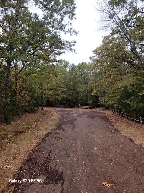 700 Hidden Lake Drive Powderly, TX 75473 - Photo 32 of 32 a view of a forest with trees in the background