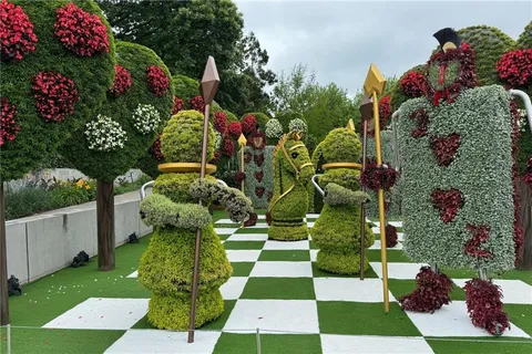 a view of a garden with flowers