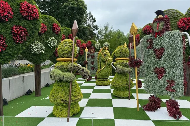 a view of a garden with flowers