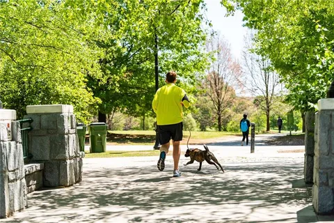 a view of a park with swings and slides