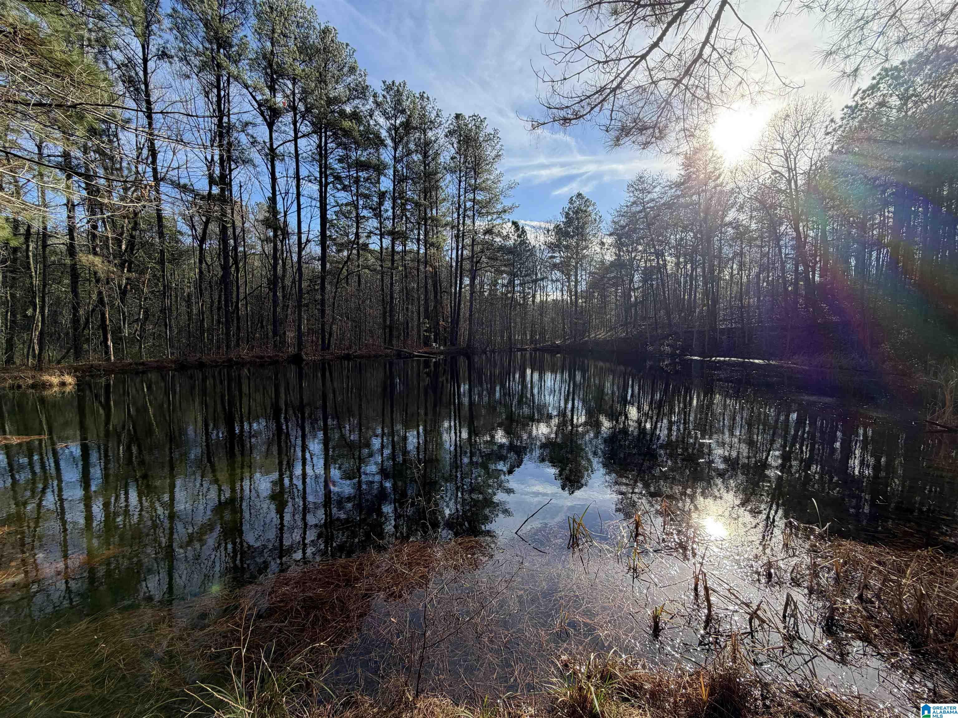 12055 George Newell Road Vance, AL 35490 - Photo 2 of 5