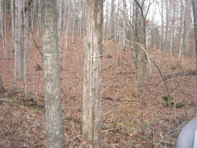 1190 Browns Store Road Lawrenceburg, KY 40342 - Photo 43 of 46 Photo 46