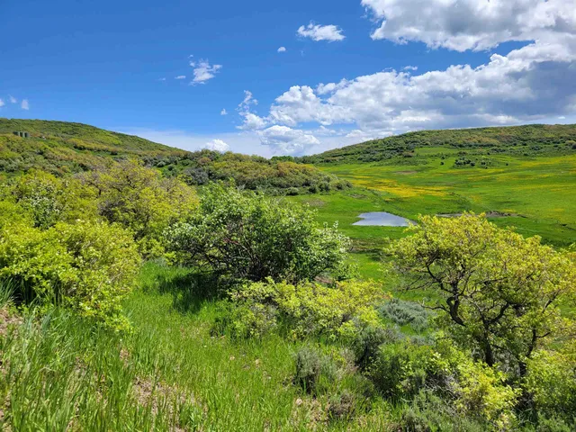 a view of a big yard with lots of green space and mountain view