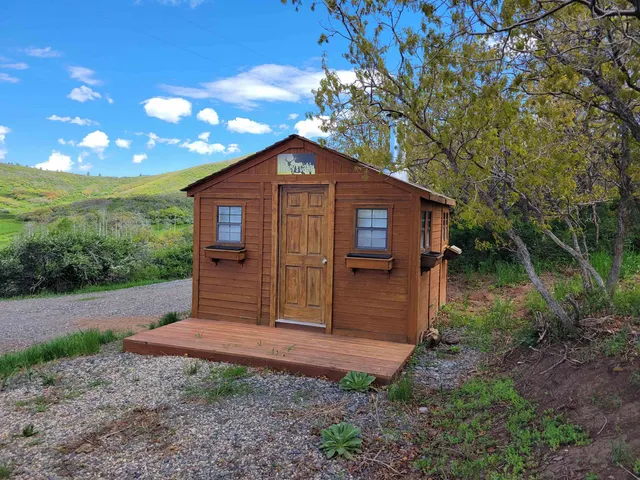 a view of a backyard with large trees plants and large tree